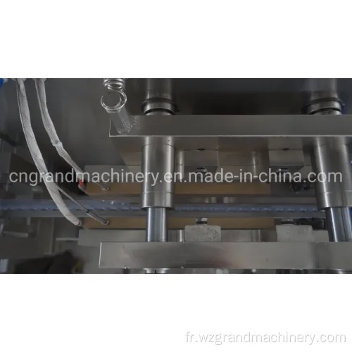 Machine de remplissage de la bouteille en plastique formant GGS-118 (P5)